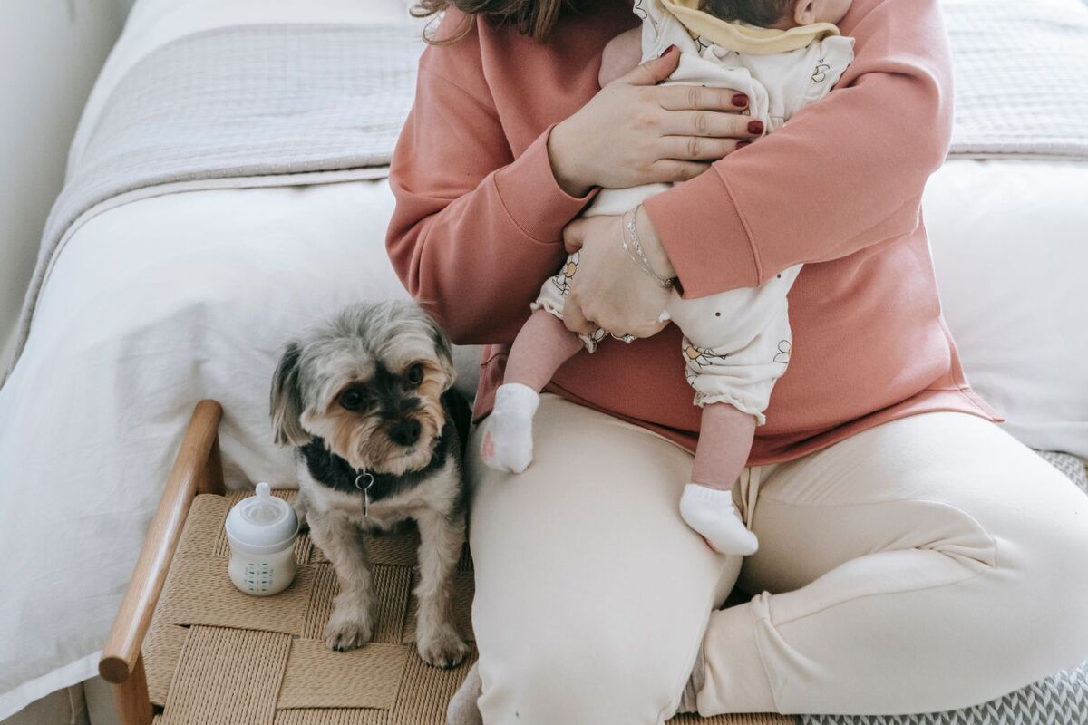 Dog sitting next to mom and baby
